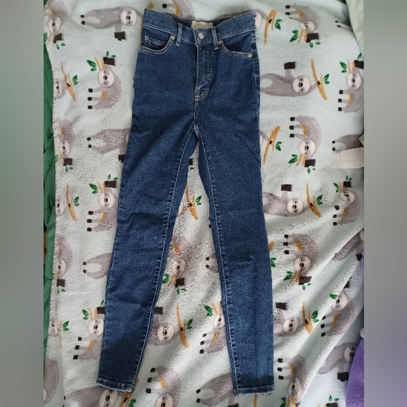 Everlane Way-High Skinny Jean Crop in Mid Blue - Picture 2 of 9